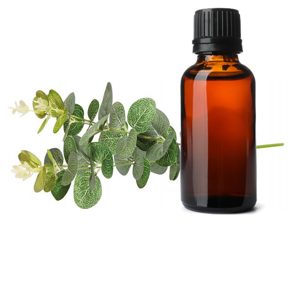 Mélange HE Dynamisant – 50ml